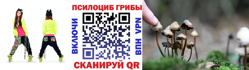 Галлюциногенные грибы Cubensis  где продают наркотики  Суровикино 